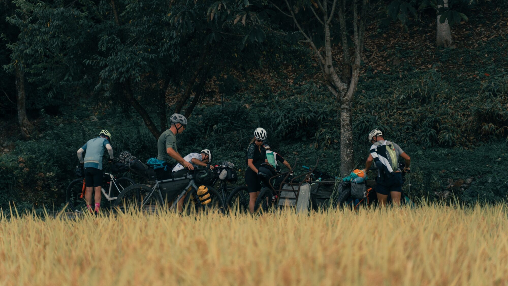 ApperStudio_cyclotourism_agency_bikepacking_Japan_41