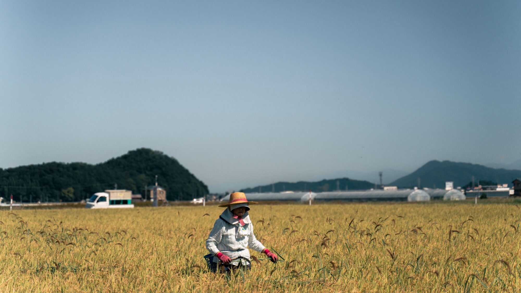 ApperStudio_cyclotourism_agency_bikepacking_Japan_54