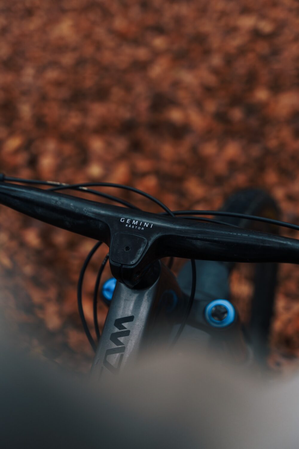 ApperStudio_cycling_brand_GEMINI_7