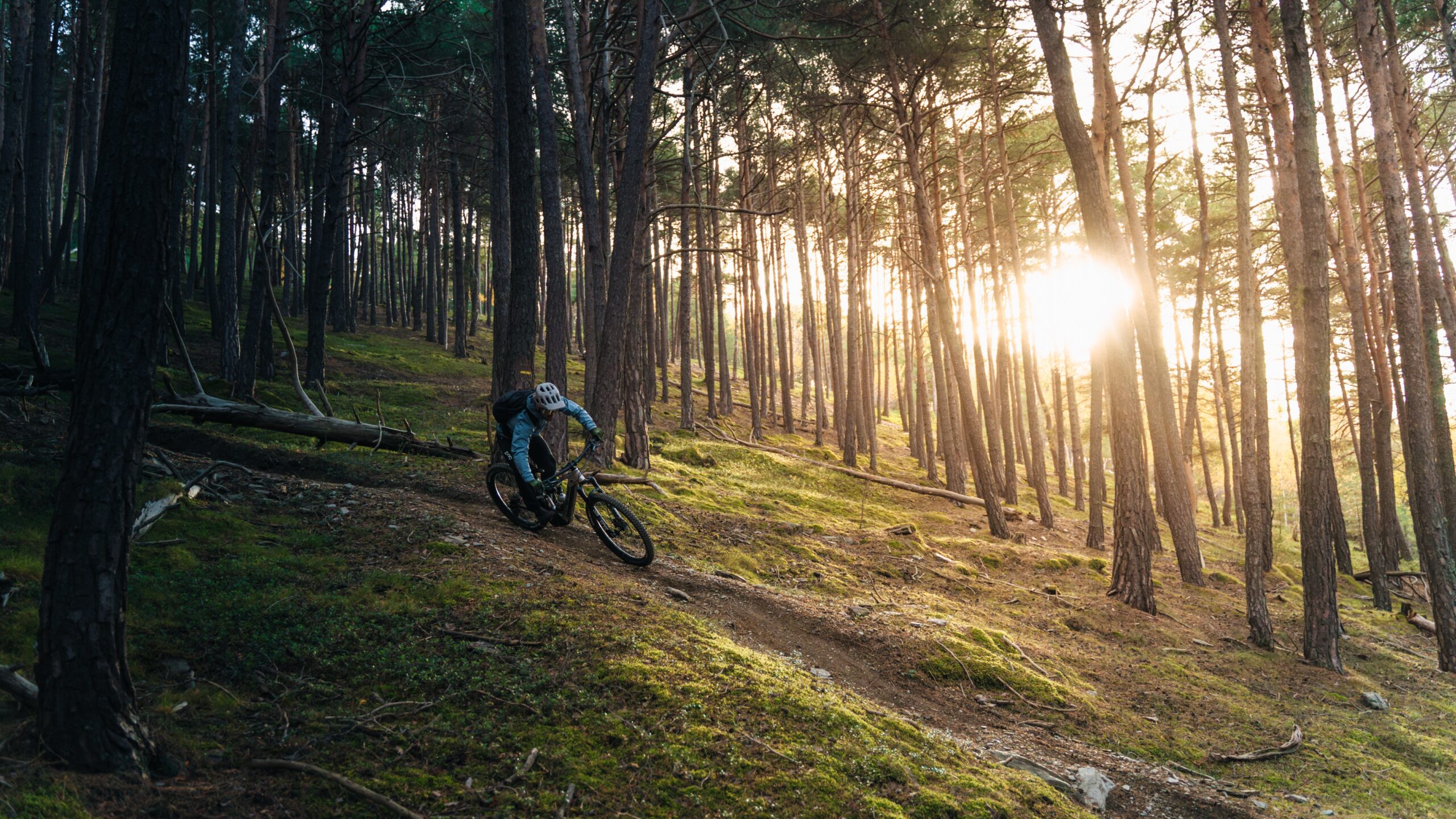 ApperStudio_Pallars_E-Bike_58